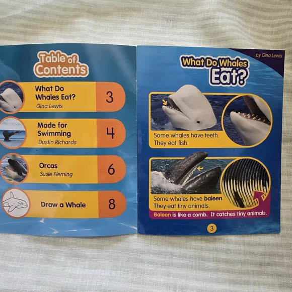 Whales Kids Activity Book - Blue Children's Educational BOOK - Picture 3 of 7